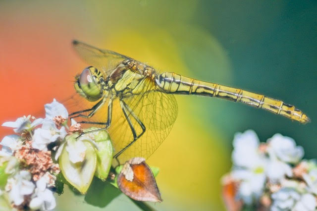 unnamed (59) unnamed (59)