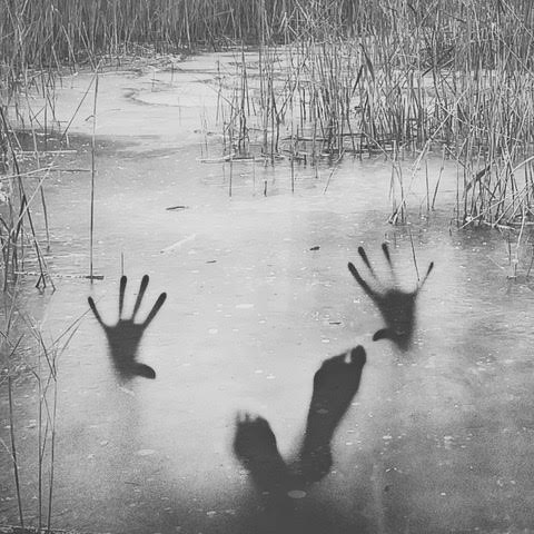 unnamed (94) unnamed (94)